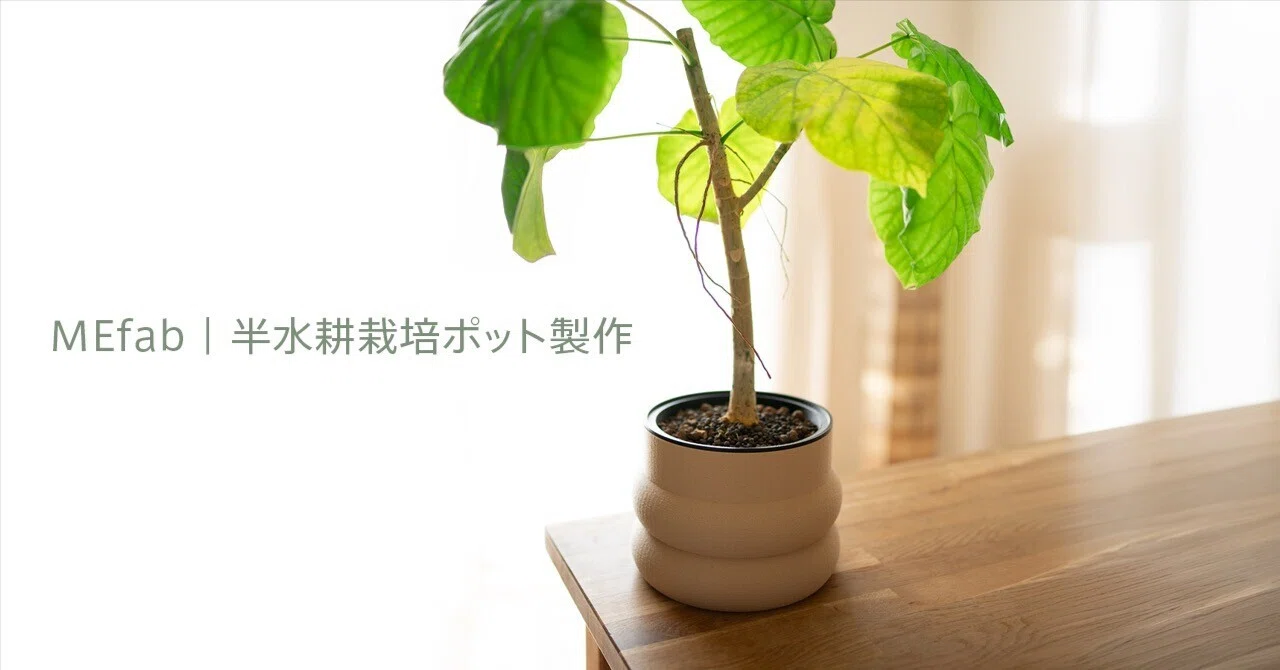 ウンベラータが根詰まりした日、ポットをつくることに｜MEfab