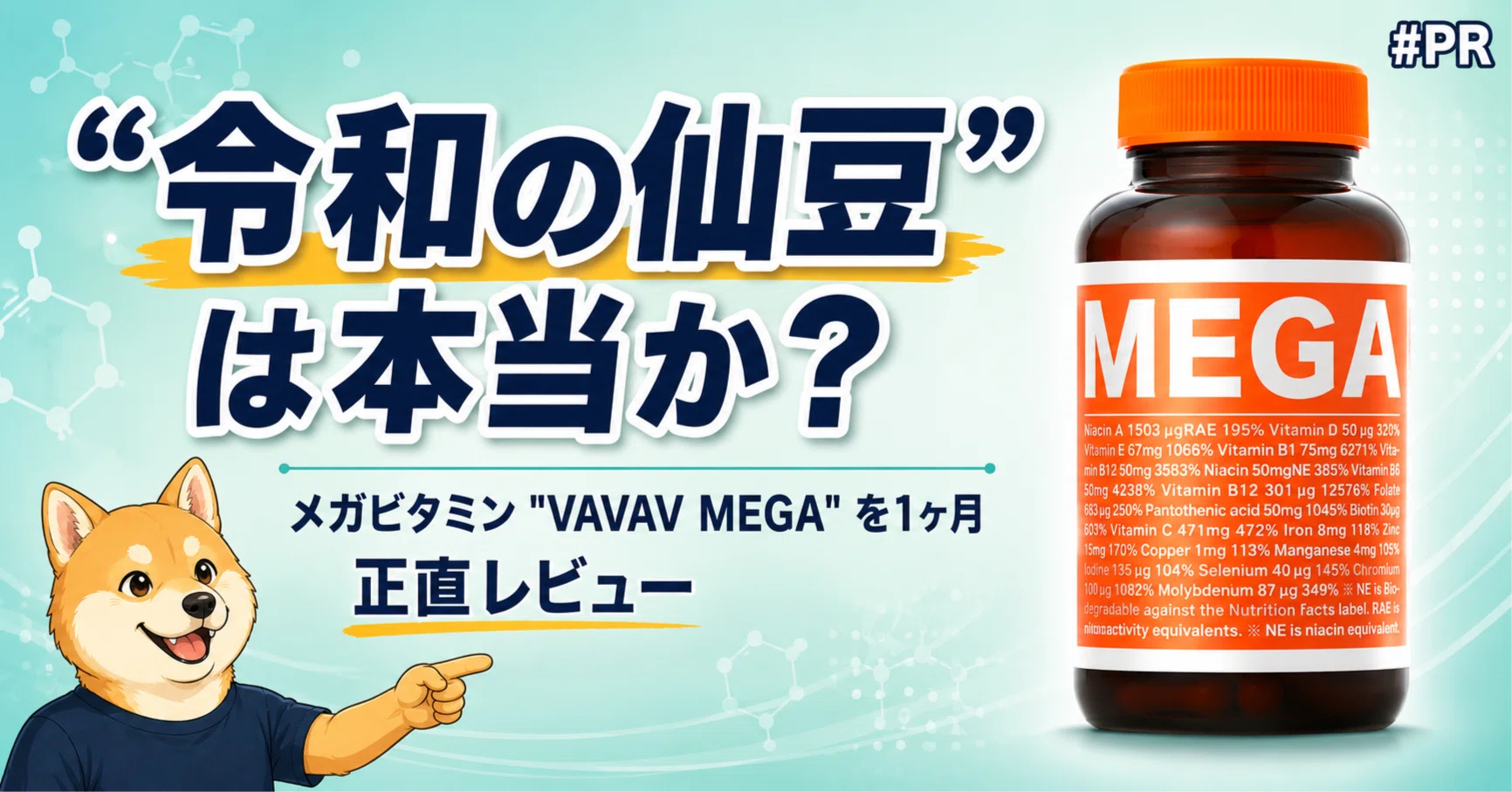 VAVAV MEGA 高濃度メガビタミン サプリ｜分子栄養学設計 VAVAV MEGA 