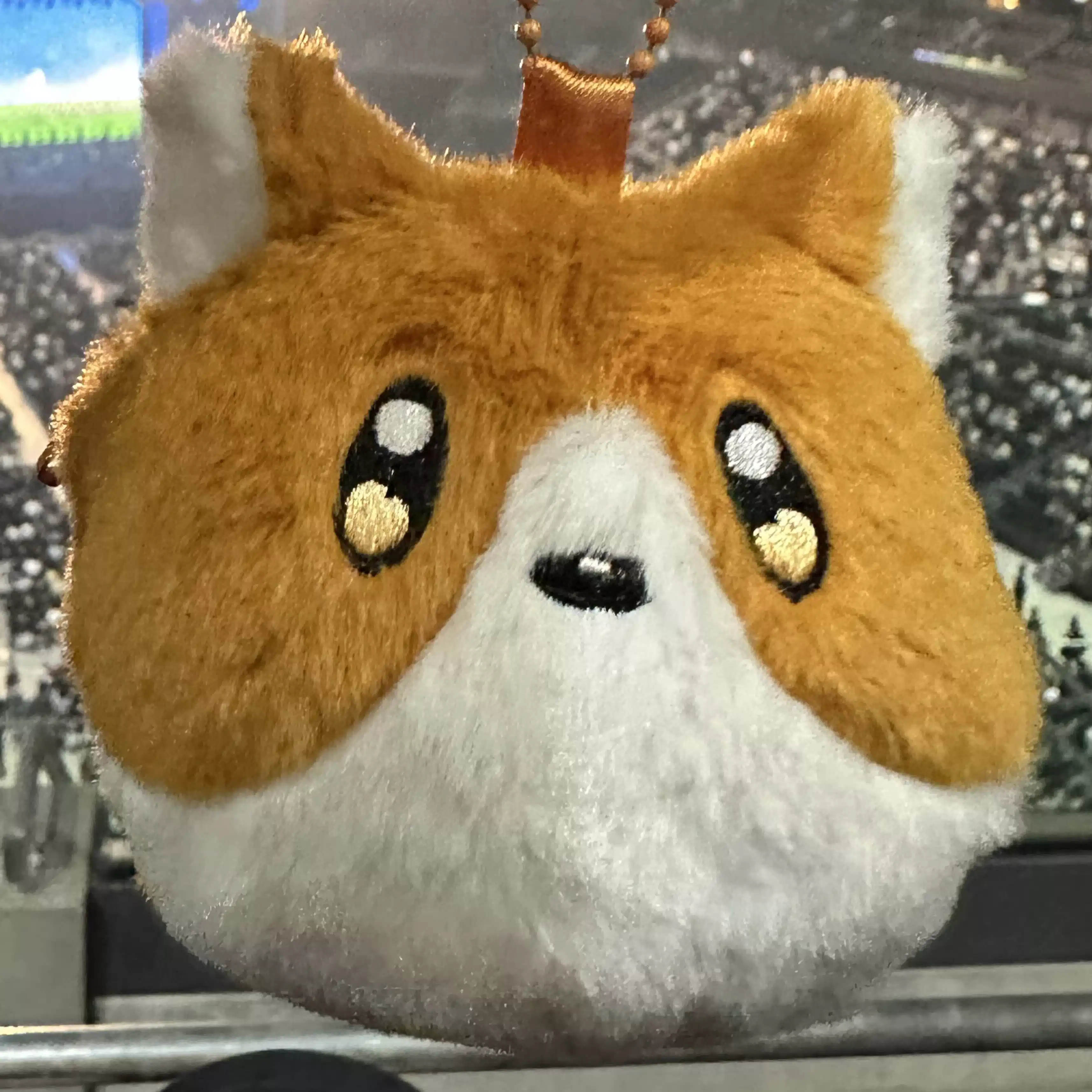ねこねこ