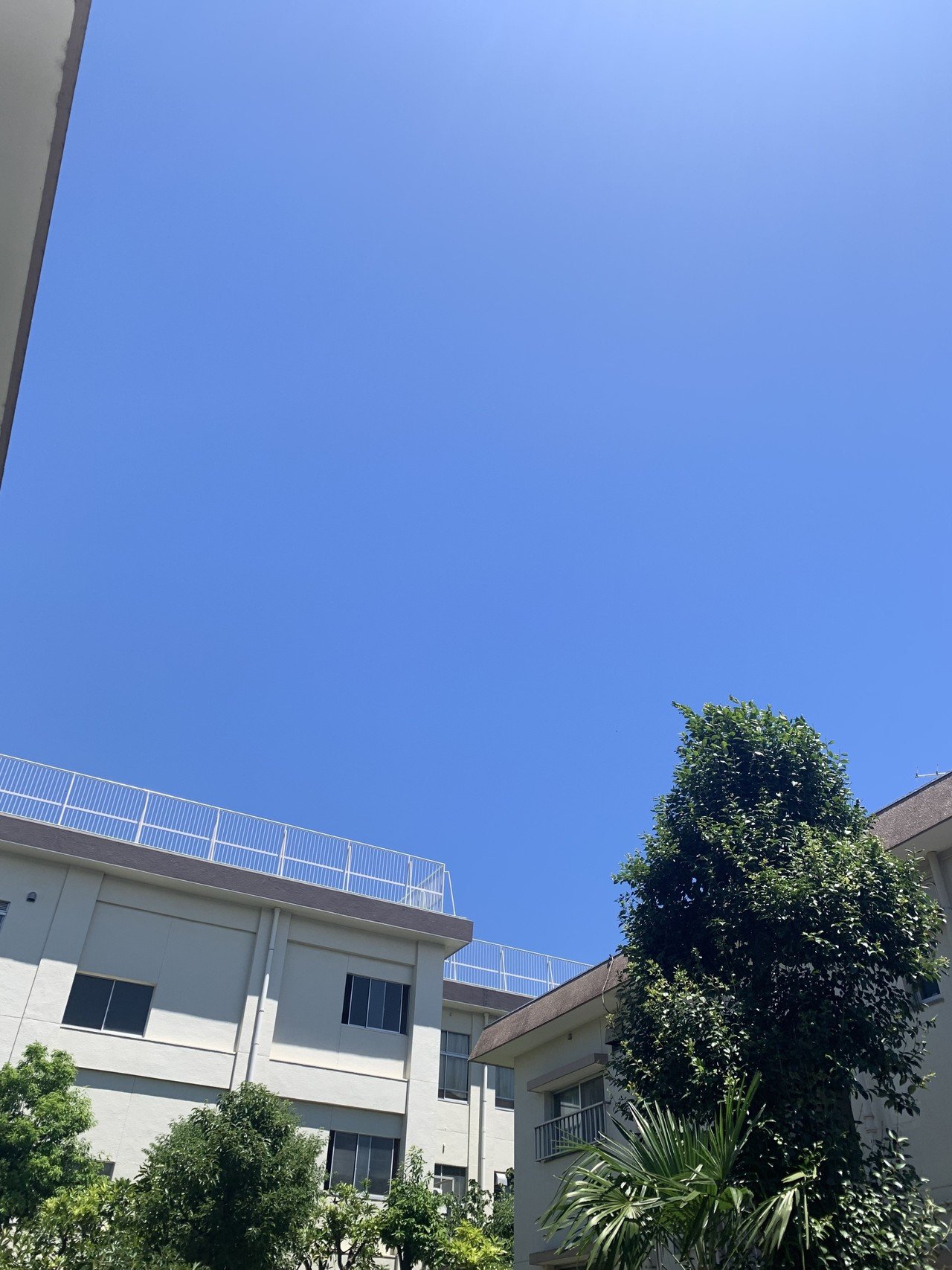 近所の写真 雲ひとつない青空 Iphoneで撮影 そえさん Note