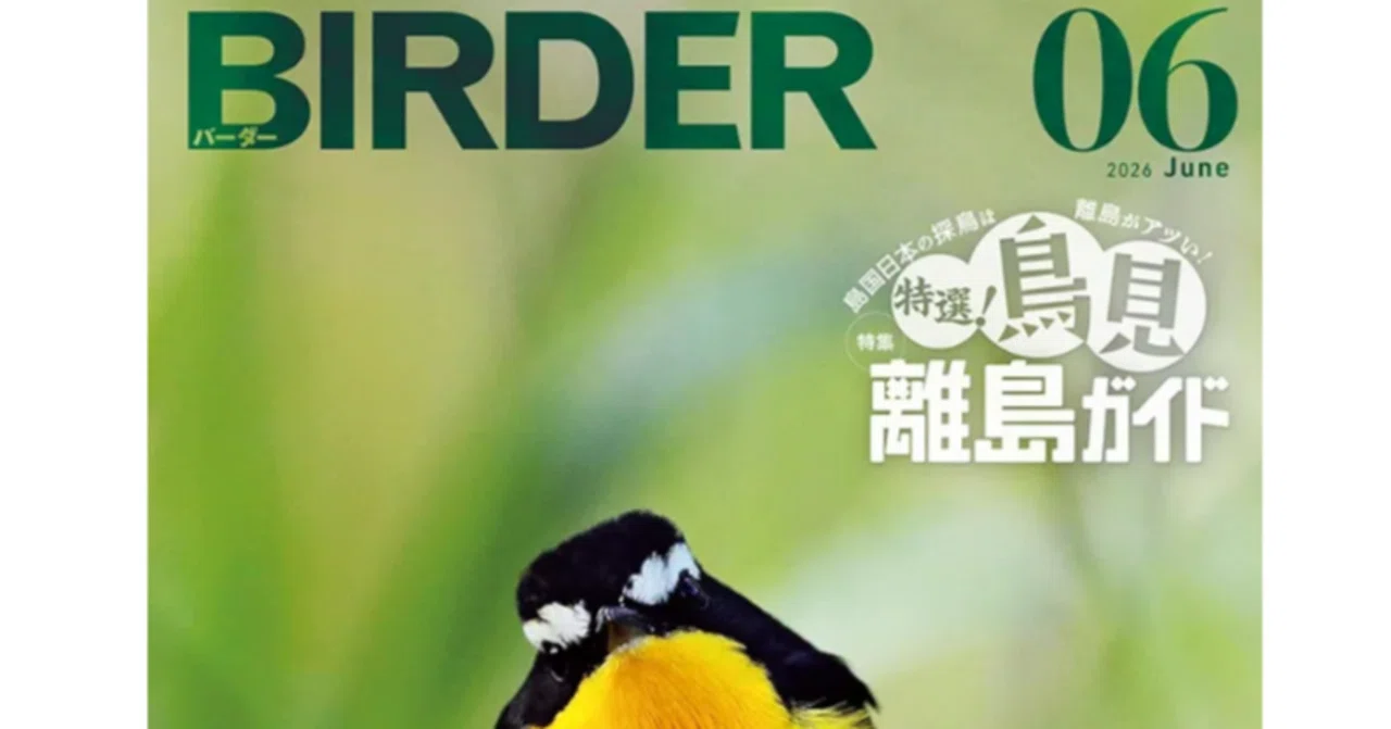 Birderをお得に読む裏ワザ｜Chaka Chaka