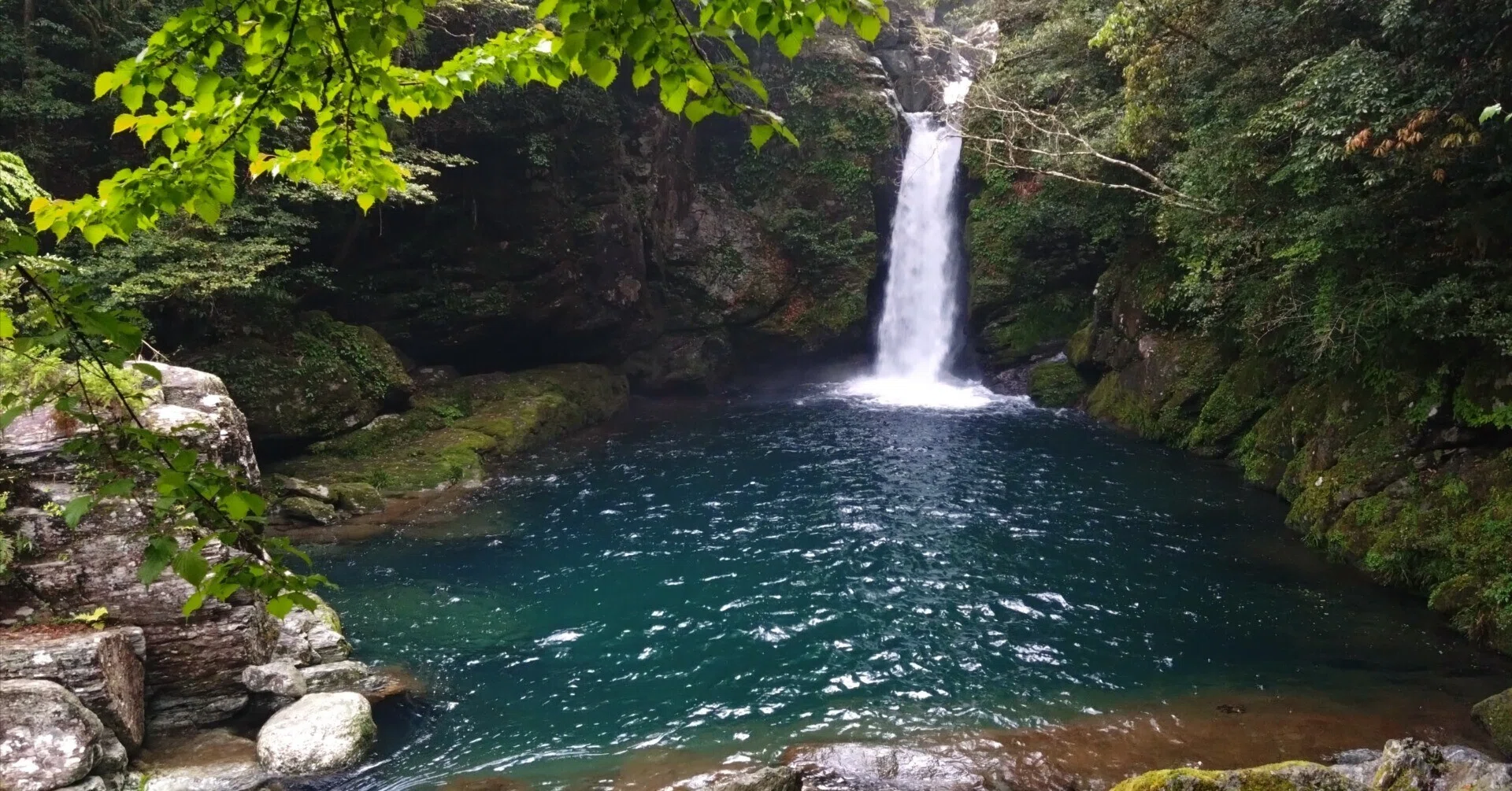 旅の風景】高知県・仁淀川ブルー（2026/06/07 #181）｜ひろさと