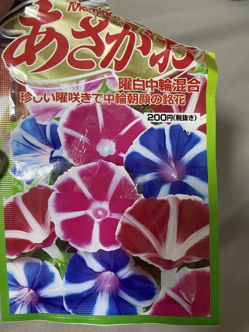 朝顔と秋桜 三十五日目 雲丹 Note 朝顔と秋桜 三十五日目 雲丹 Note
