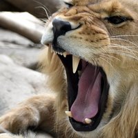 お仕事の依頼について 浅井伸彦 Note