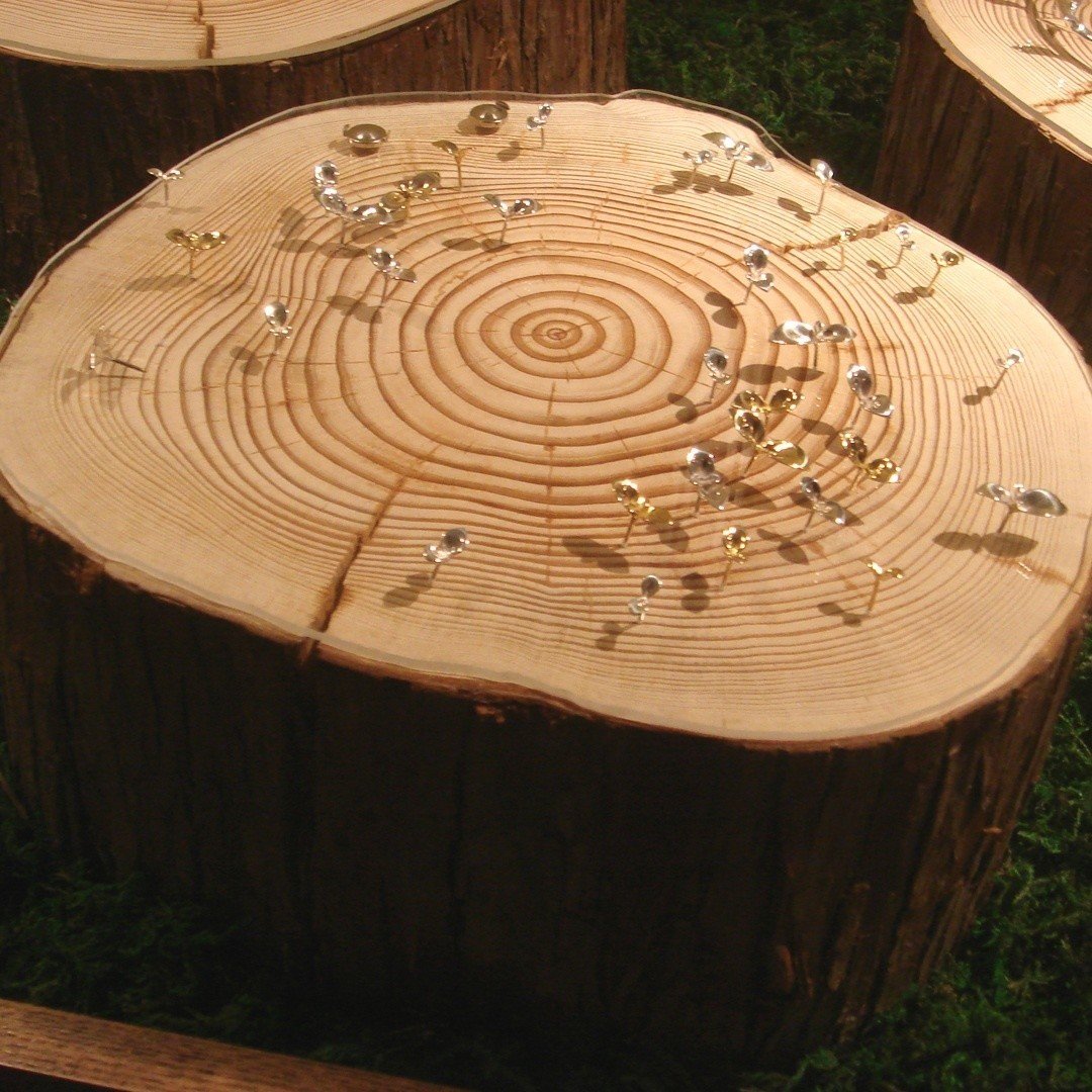 プフッツェのジュエリーディスプレイ Pfutze プフッツェ Note