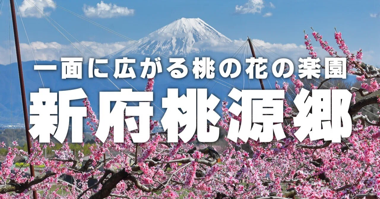 新府桃源郷と富士山｜trpe