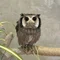 ささやまあり