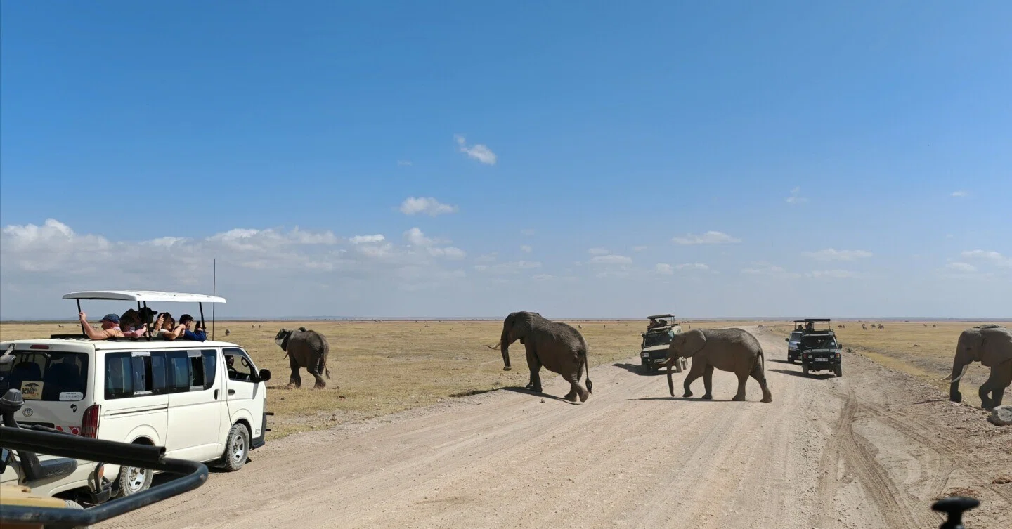 🇰🇪ケニア・サファリ旅行 6 | 6日間585ドルの最安値ツアーの感想と