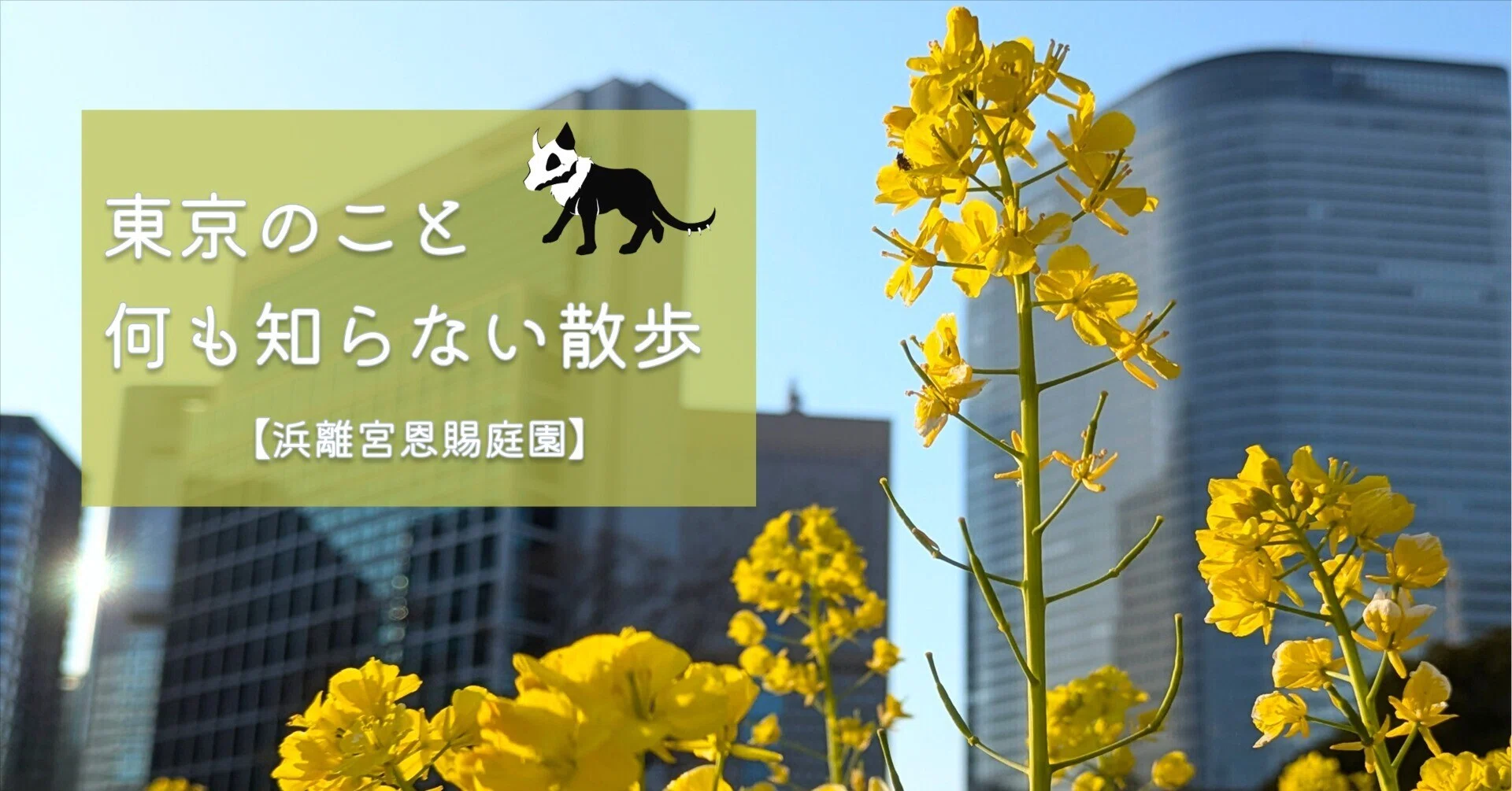 散歩】都立文化財9庭園- 9 Gardens -春の黄色の庭園（浜離宮恩賜庭園