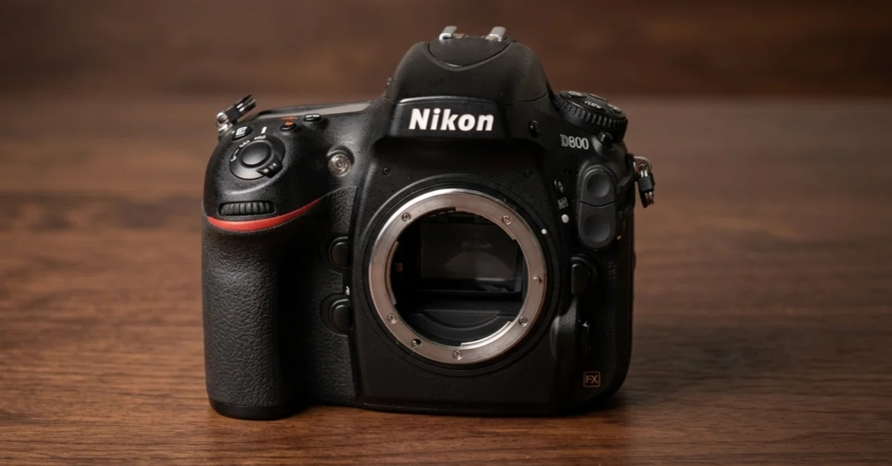 Nikon D800の威厳｜またボスのおもちゃが一つ増えた話｜みゆき @d-fractal
