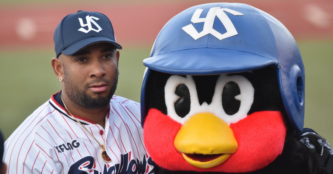 ココがいた神宮 ココといた日々 田村あゆみ Note