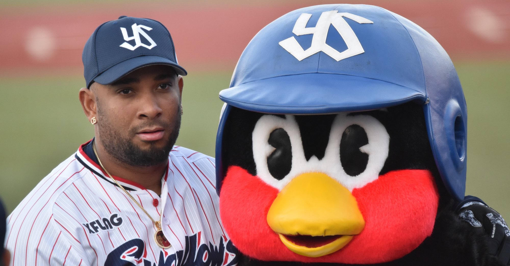 ココがいた神宮 ココといた日々 田村あゆみ Note ココがいた神宮 ココといた日々 田村あゆみ Note