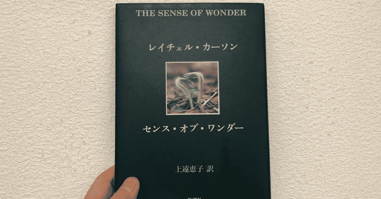 センスオブワンダー の新着タグ記事一覧 Note つくる つながる とどける