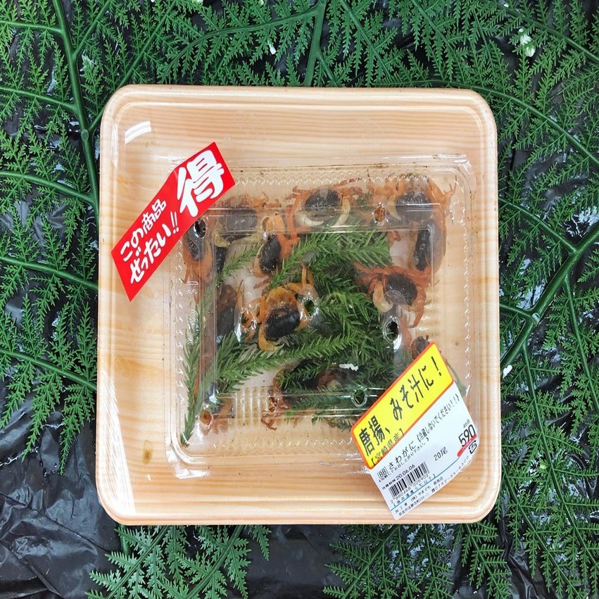 7日後に死ぬカニ 完結編 しまだあや 島田彩 Note