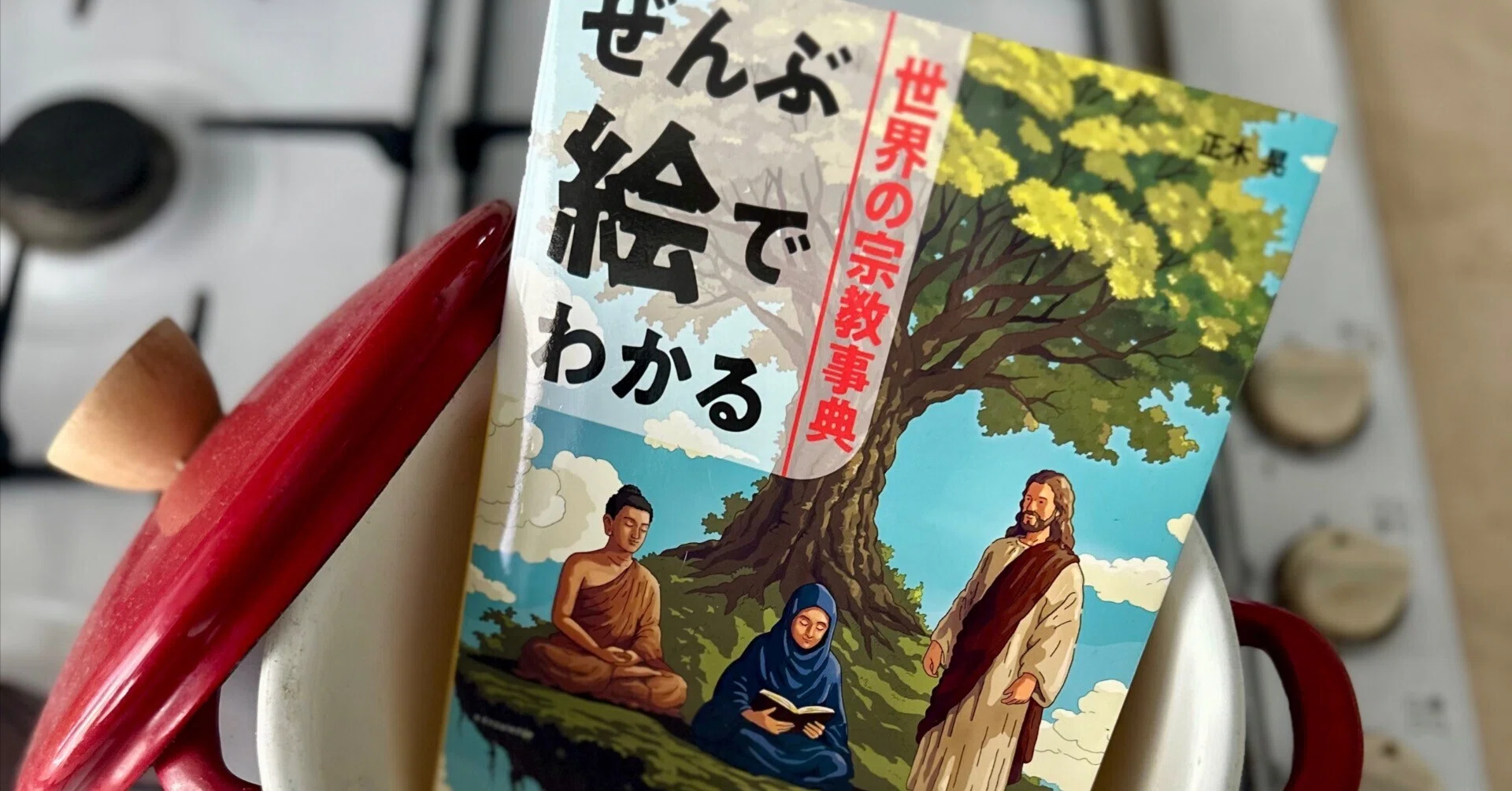 見えていなかったものが、見えるようになる：『ぜんぶ絵でわかる世界の