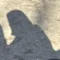 小エビ侍