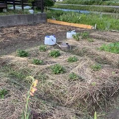 津留晃一さんの世界｜よーこ