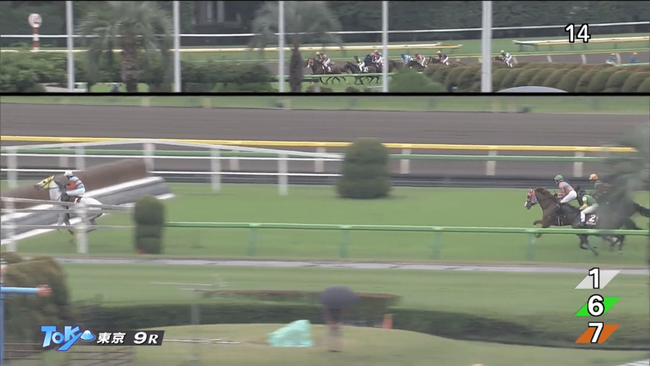 障害競走の障害物について ゆうぴぃ 競馬 Note