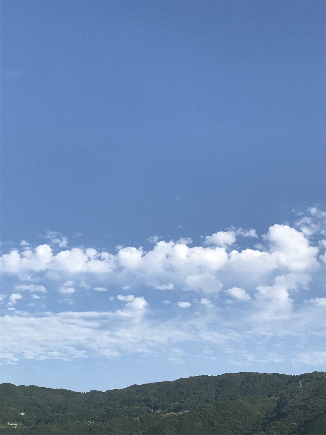 それぞれの柔らかな朝 あけちゃん Note それぞれの柔らかな朝 あけちゃん Note