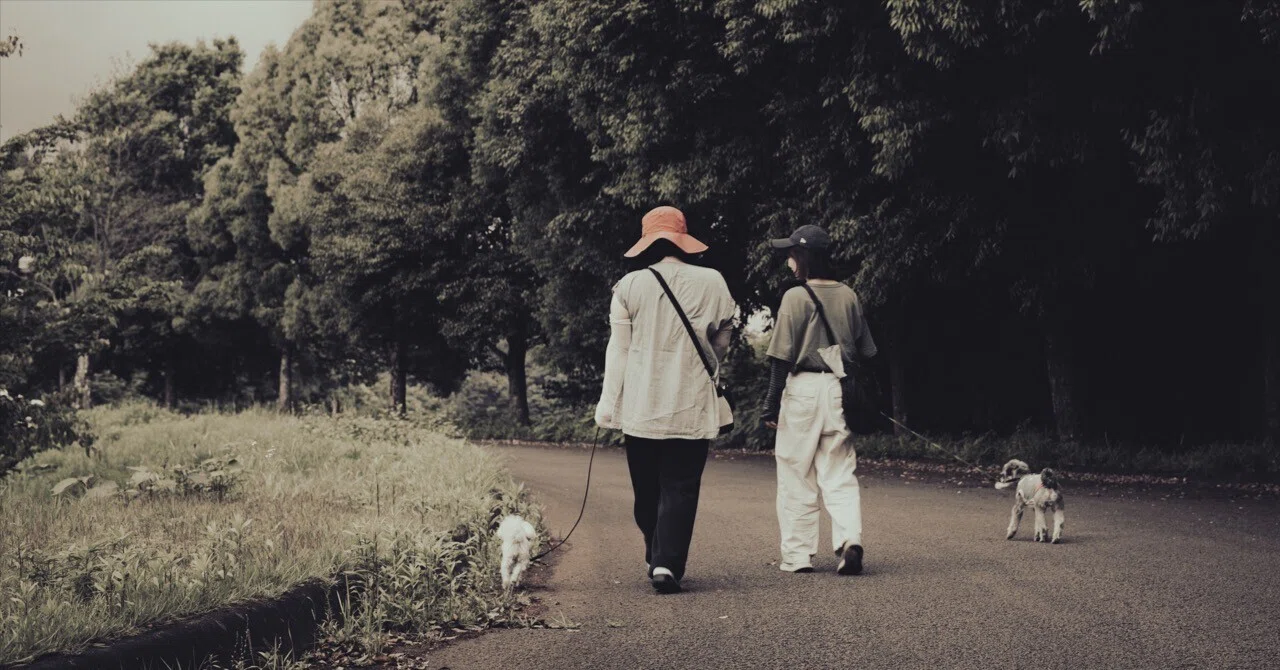 写真散歩の時の心掛け｜とりあえずシャッターを｜シャッターチャンスの
