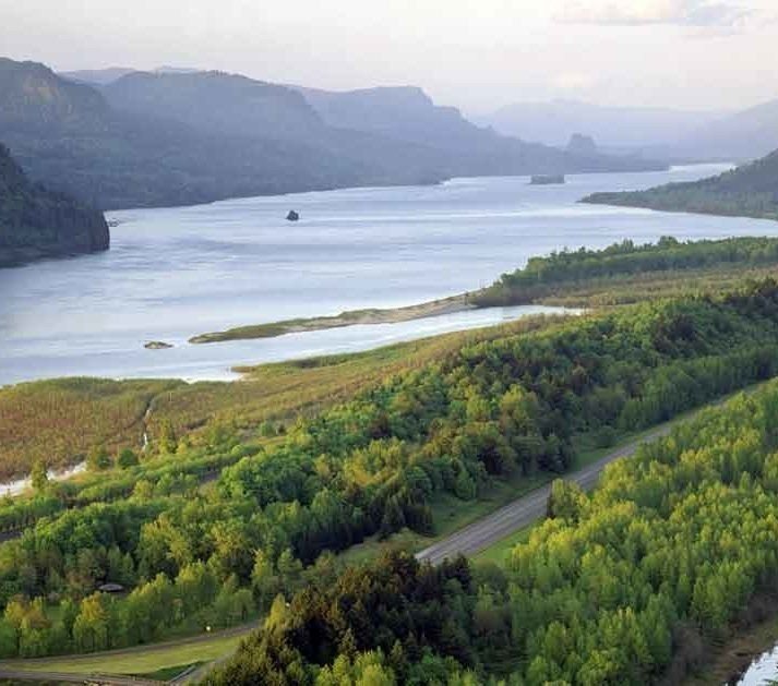 留学 アメリカ人って本当に馬鹿なんだなと思った話 イチモズ Note