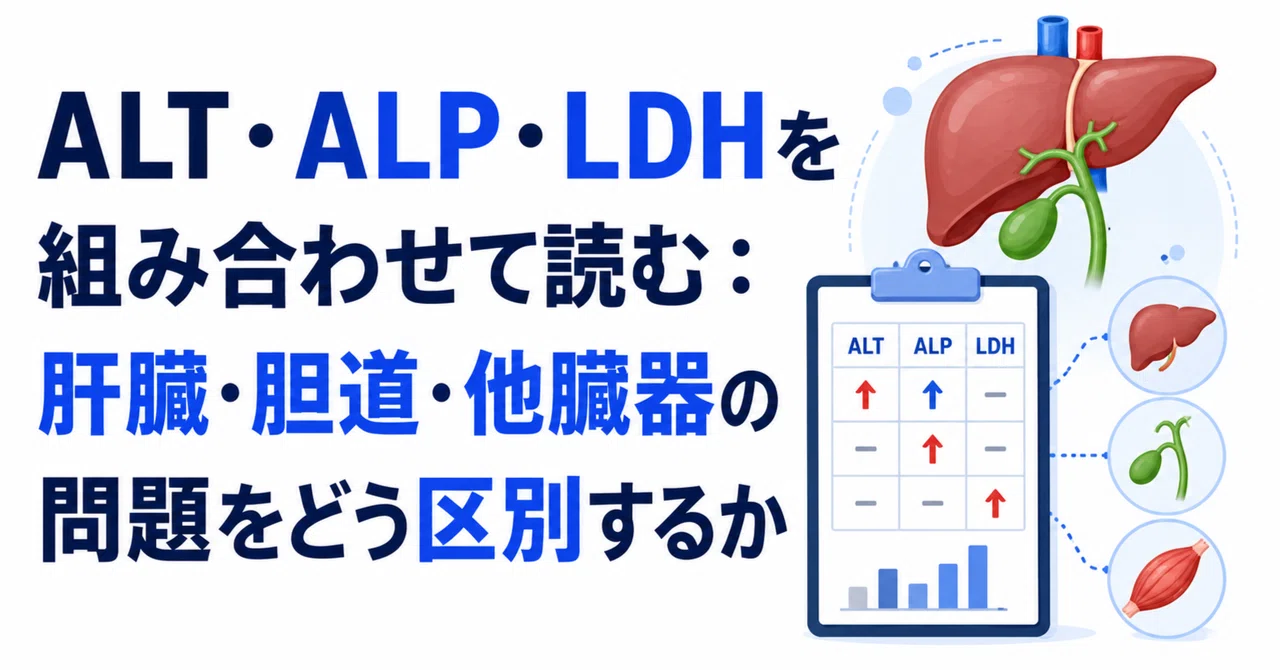 ALT・ALP・LDHを組み合わせて読む：肝臓・胆道・他臓器の問題をどう区別するか｜かず｜臨床検査技師