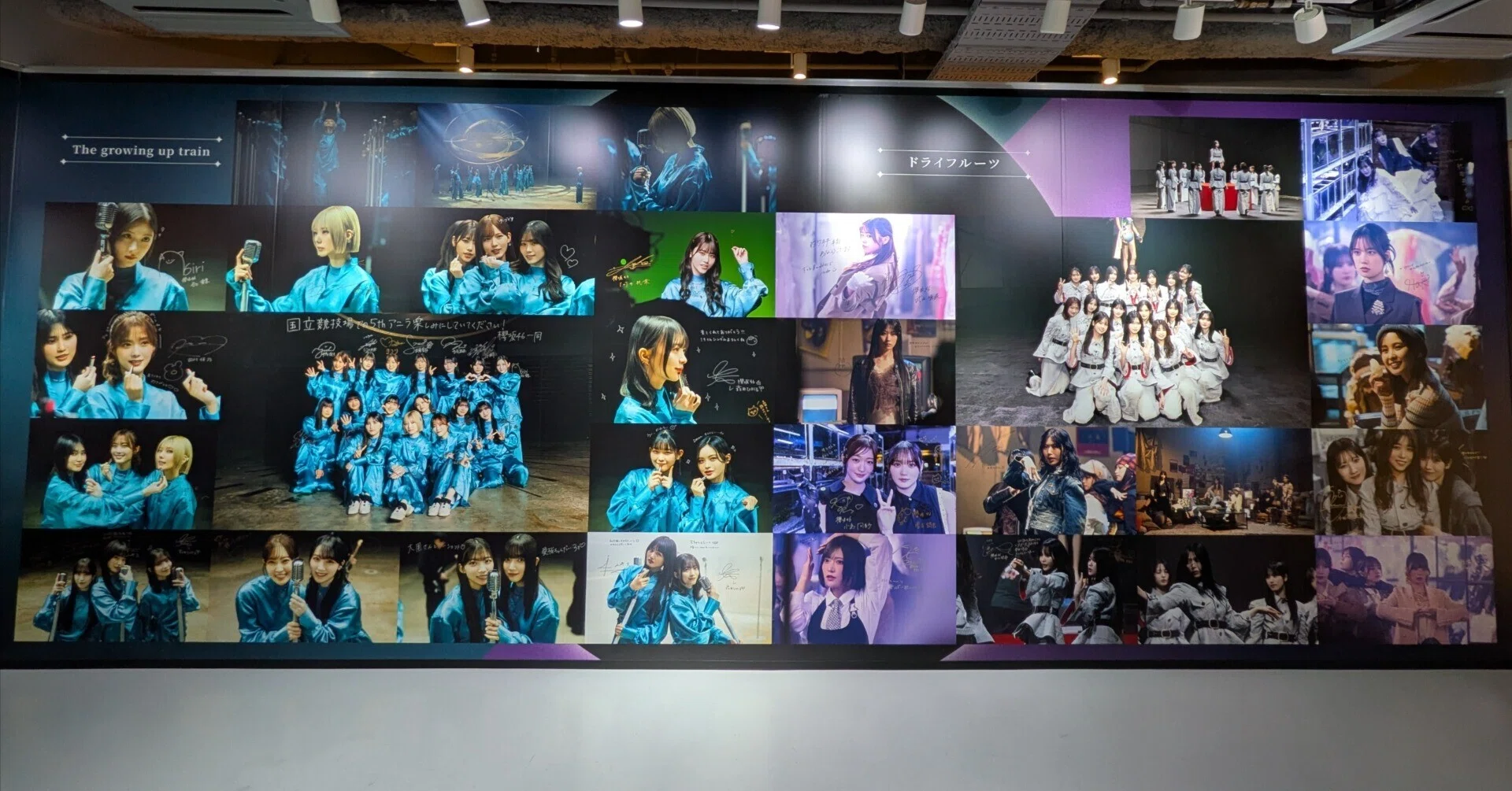 初めてでも迷わない！櫻坂46ミーグリ応募完全ガイド｜タカ
