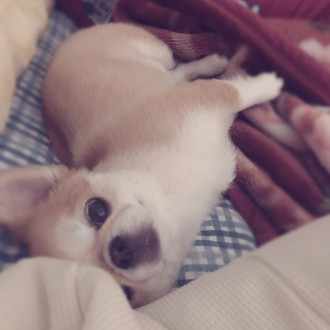 友達と連絡が取れないのです まめ Hss型hsp Enfp型 Note