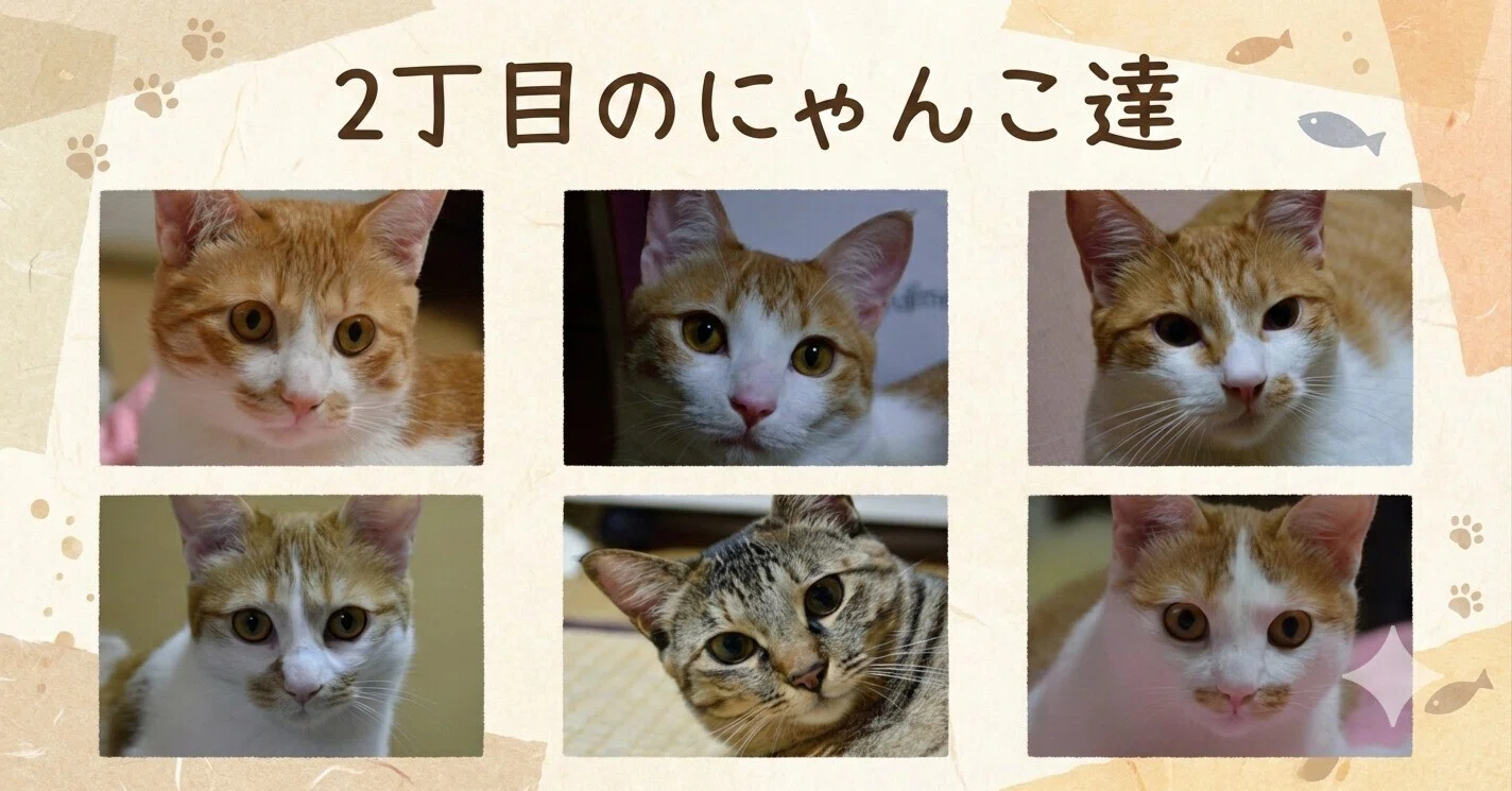 じゃれねこ『6月☆109 たっぷりいちご♡』 じゃれねこ『6月☆109 たっぷり