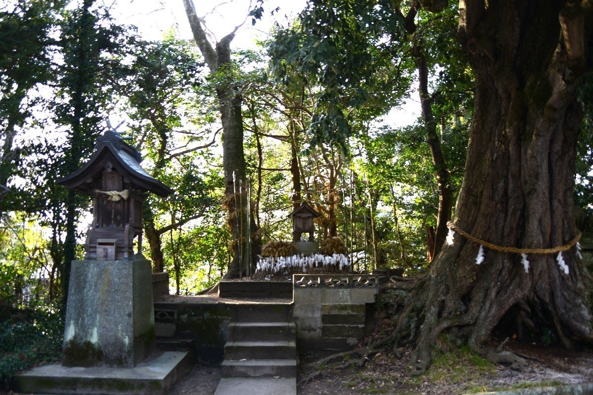 揖屋神社・天満宮・稲藁龍神・御神木