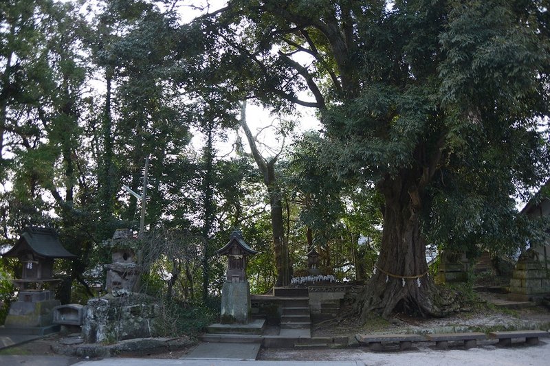 揖屋神社・天満宮・荒神社・稲藁龍神・御神木・恵比須社