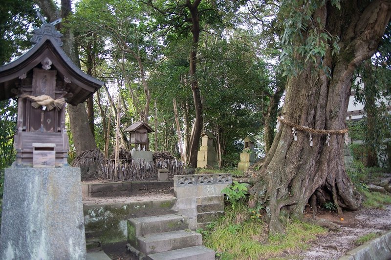 揖屋神社・天満宮・荒神社・稲藁龍神・御神木