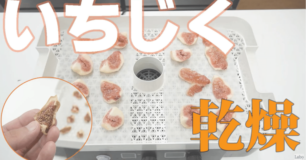 ドライいちじく作り] 食品乾燥機「ドラミニ」｜ラボネクト株式会社