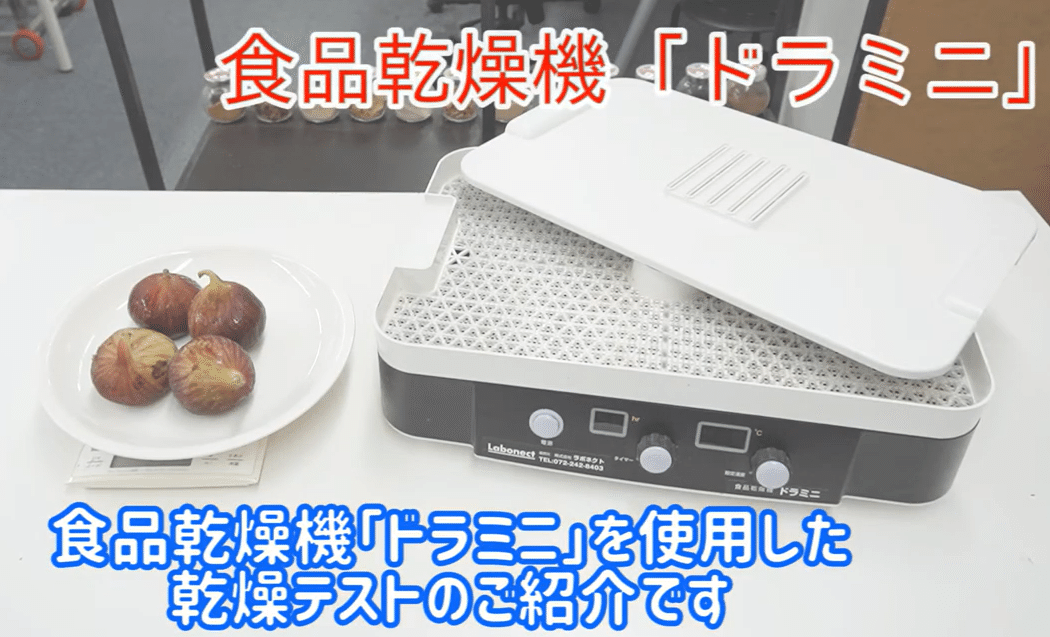 ラボネクト(食品乾燥機ドラミニ) 食品乾燥機 フードドライヤー