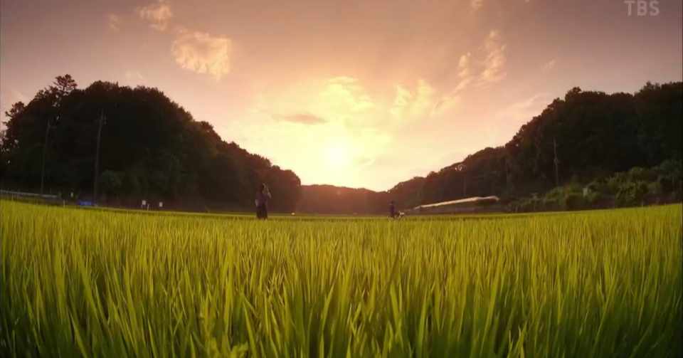 聖ちゃん日記 1 66db Note