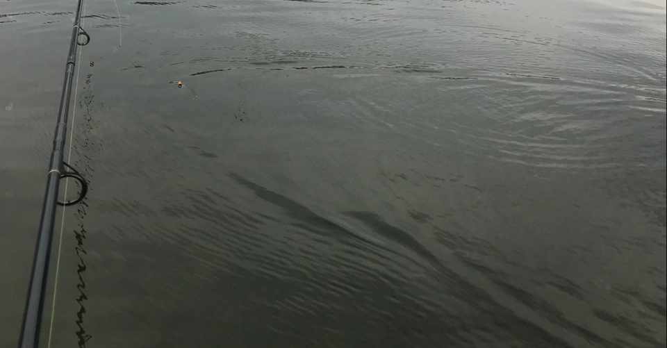 チヌトップに使用するロッドについて カリスマ アフロ Note