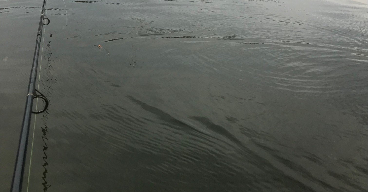 チヌトップに使用するロッドについて カリスマ アフロ Note チヌトップに使用するロッドについて カリスマ アフロ Note