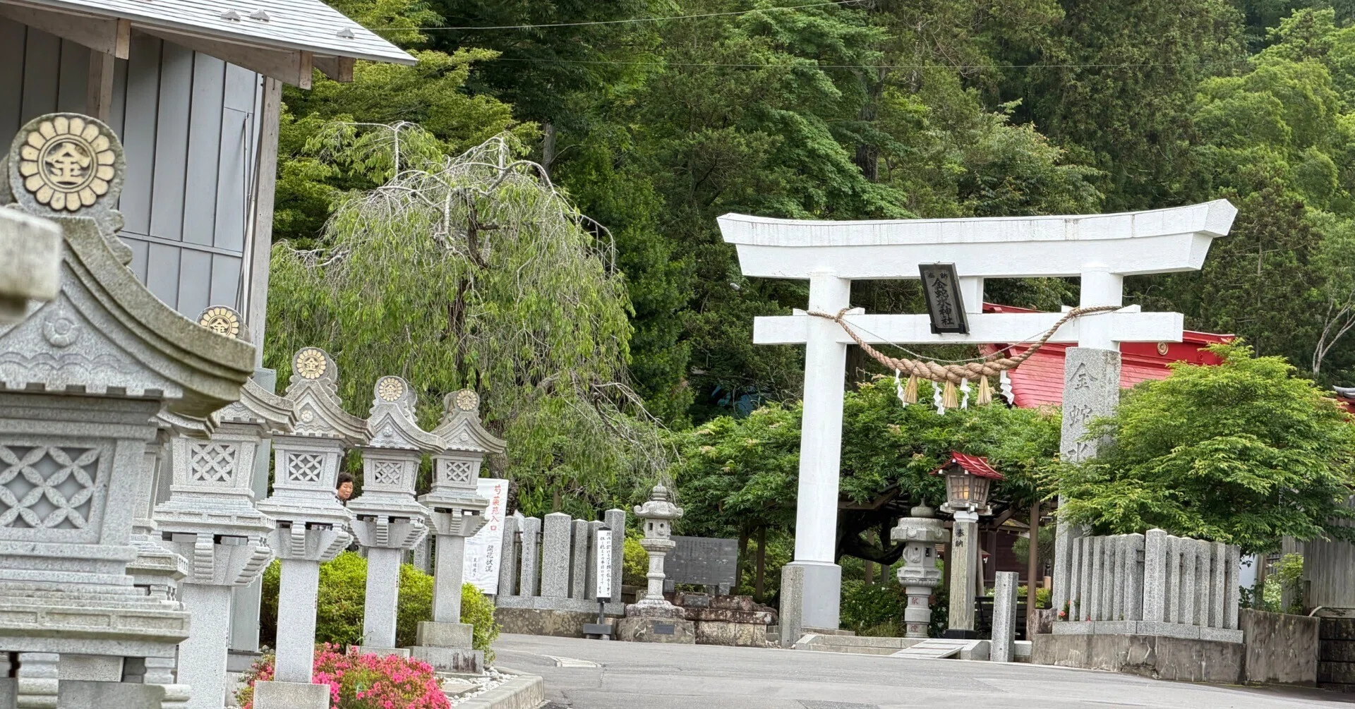 金蛇水神社 2026年6月｜村木藤志郎