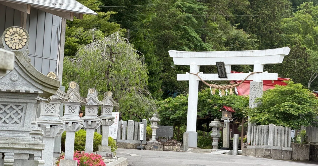 金蛇水神社 2026年6月｜村木藤志郎