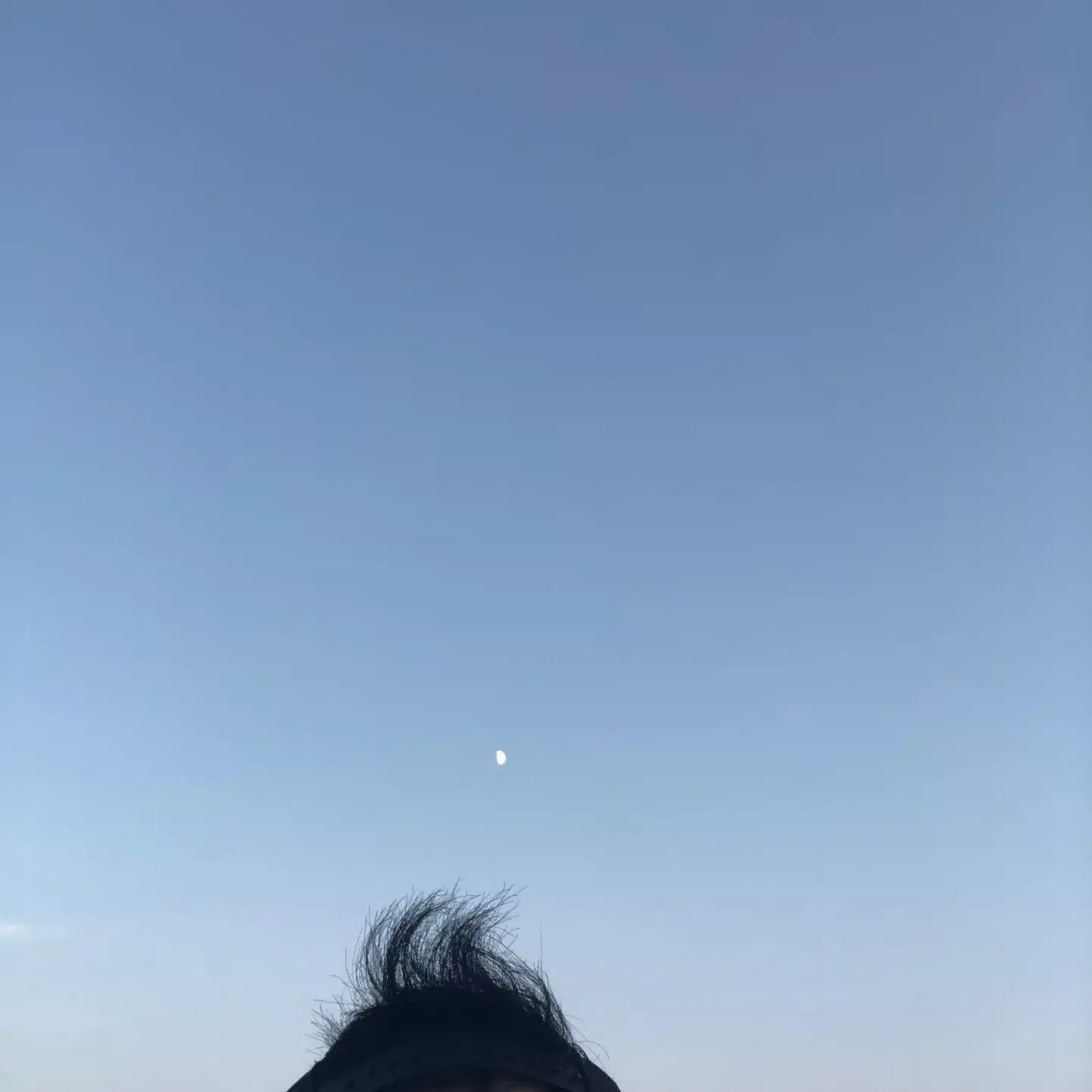 木梨いばら
