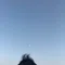 木梨いばら