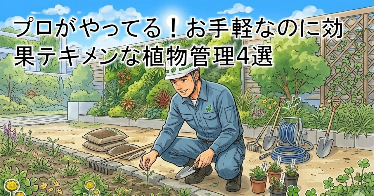 4 Pro-Level Plant Care Tips That Are Easy Yet Highly Effective