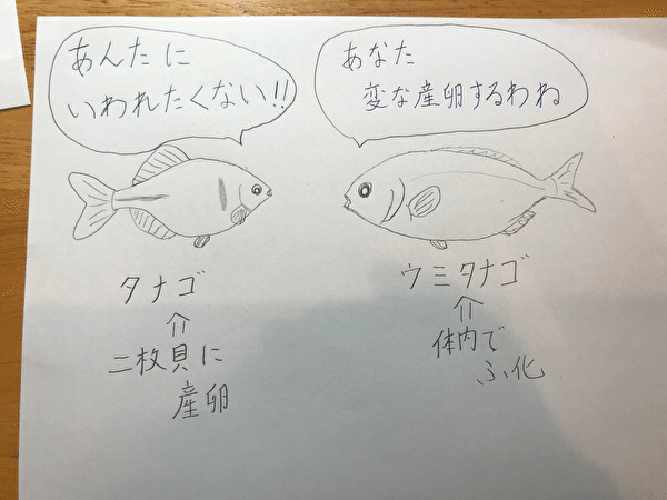 3分でわかる タナゴ 宇呂草見 Note