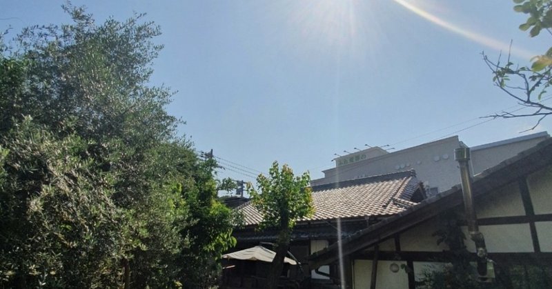 生物多様性文明論 本川 達雄 生物学的文明論 新潮新書 11編集 阿部正孝 協力 佐藤邦夫あの ゾウの時間 ネズミの時間 の著者が２０年ぶりに放った 生物学的文 クリスチャン Note