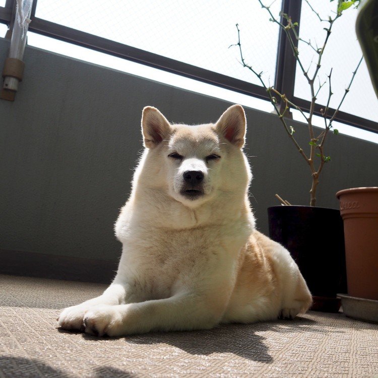 ちょっと暑い