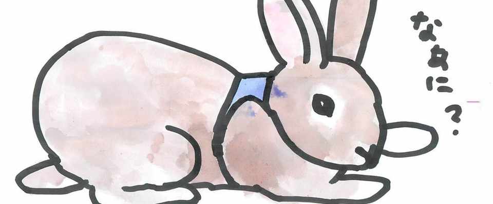 プロが教える 明日からウサギと暮らすための６講座 第4日目 ウサギ はお風呂に入れちゃいけないんですよね 入れられるわよ ができれば ねこセカンドハウスこむぎ 受付停止中 Note
