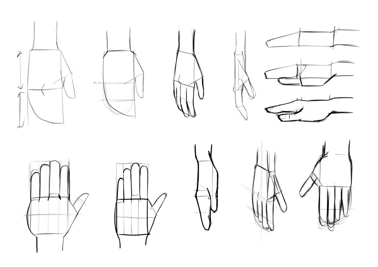 手を描く練習 現状把握から基本の描き方を実践 ねむ Note