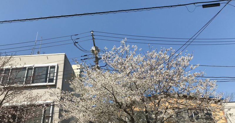 空はつながっている🌸🌸