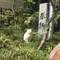 福岡かみざかな