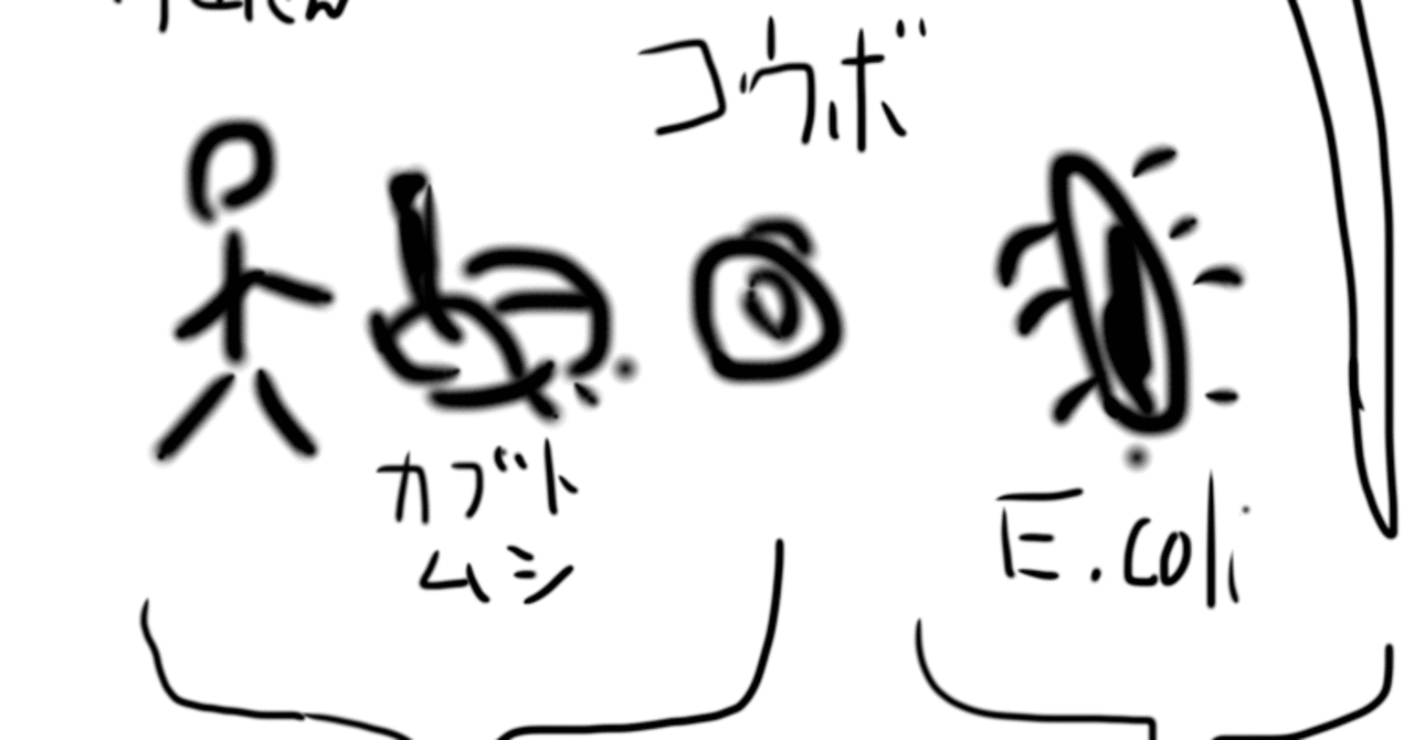 遺伝子浮動